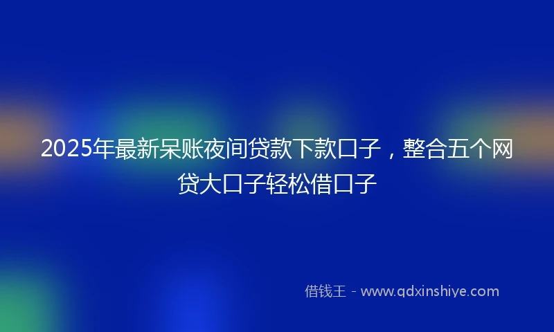 2025年最新呆账夜间贷款下款口子，整合五个网贷大口子轻松借口子