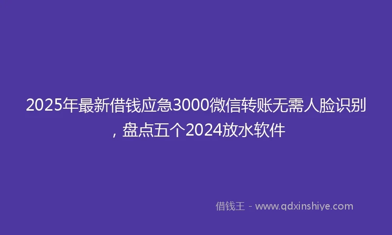 2025年最新借钱应急3000微信转账无需人脸识别，盘点五个2024放水软件
