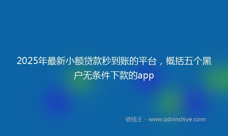2025年最新小额贷款秒到账的平台，概括五个黑户无条件下款的app