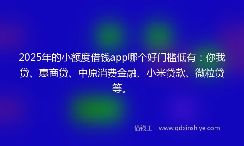 2025年的小额度借钱app哪个好门槛低有：你我贷、惠商贷、中原消费金融、小米贷款、微粒贷等。