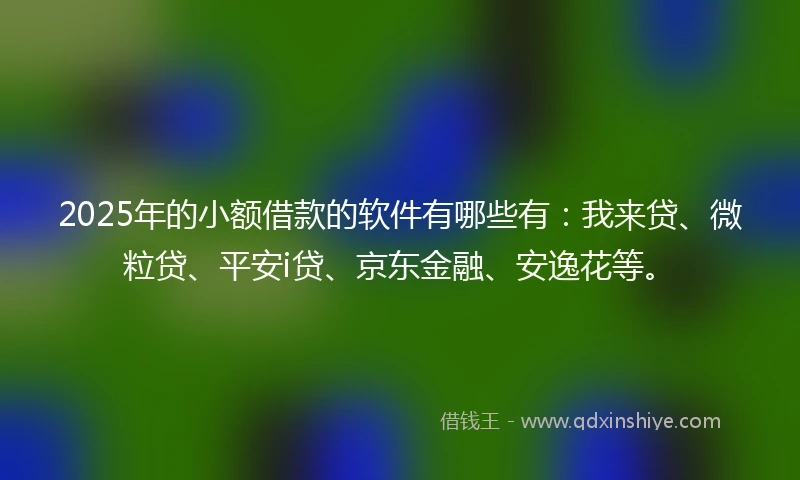 2025年的小额借款的软件有哪些有：我来贷、微粒贷、平安i贷、京东金融、安逸花等。
