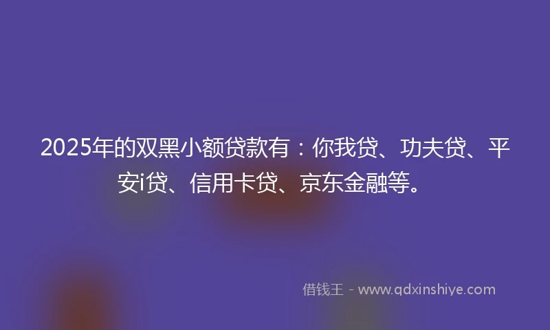 2025年的双黑小额贷款有：你我贷、功夫贷、平安i贷、信用卡贷、京东金融等。
