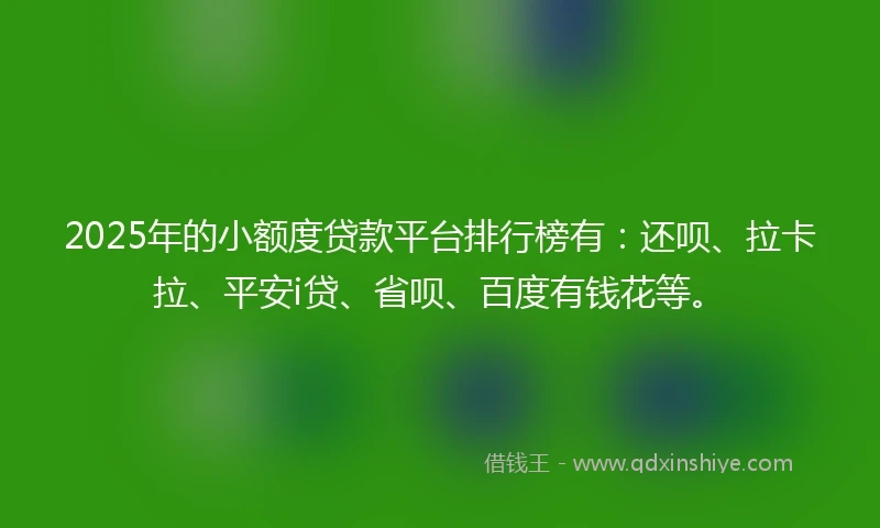 2025年的小额度贷款平台排行榜有：还呗、拉卡拉、平安i贷、省呗、百度有钱花等。