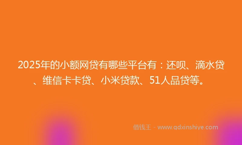 2025年的小额网贷有哪些平台有：还呗、滴水贷、维信卡卡贷、小米贷款、51人品贷等。