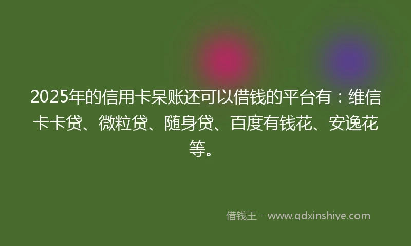 2025年的信用卡呆账还可以借钱的平台有：维信卡卡贷、微粒贷、随身贷、百度有钱花、安逸花等。