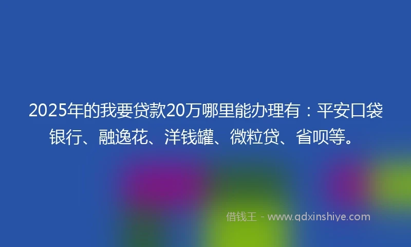 2025年的我要贷款20万哪里能办理有：平安口袋银行、融逸花、洋钱罐、微粒贷、省呗等。