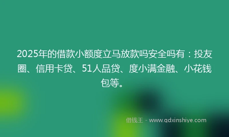 2025年的借款小额度立马放款吗安全吗有：投友圈、信用卡贷、51人品贷、度小满金融、小花钱包等。