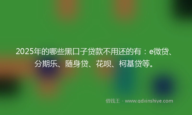 2025年的哪些黑口子贷款不用还的有：e微贷、分期乐、随身贷、花呗、柯基贷等。