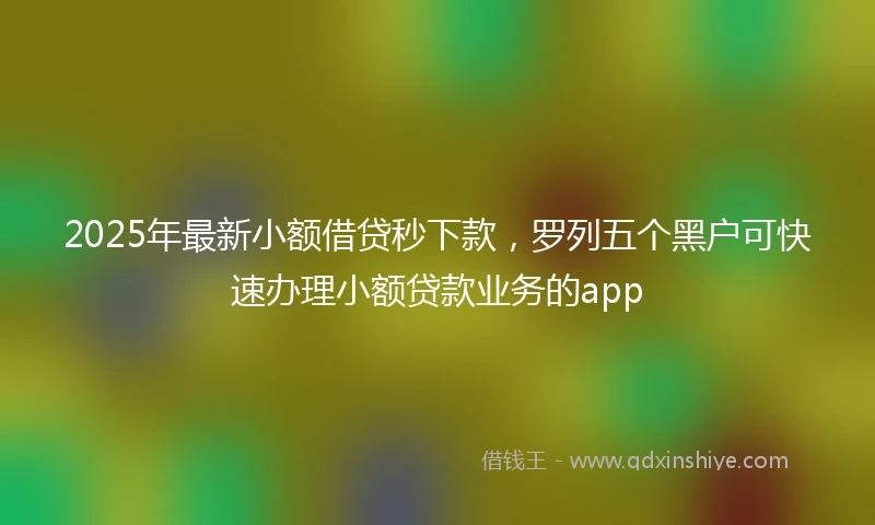 2025年最新小额借贷秒下款，罗列五个黑户可快速办理小额贷款业务的app