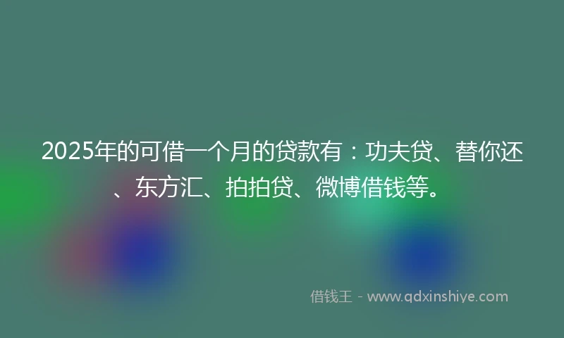 2025年的可借一个月的贷款有：功夫贷、替你还、东方汇、拍拍贷、微博借钱等。
