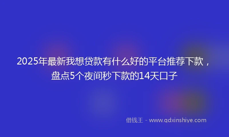 2025年最新我想贷款有什么好的平台推荐下款，盘点5个夜间秒下款的14天口子