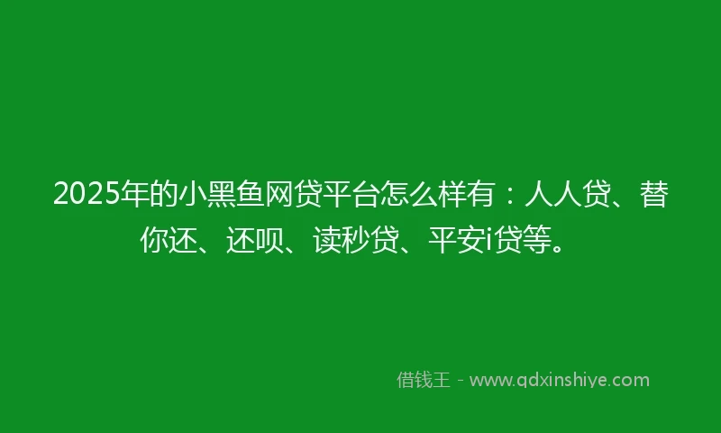 2025年的小黑鱼网贷平台怎么样有：人人贷、替你还、还呗、读秒贷、平安i贷等。