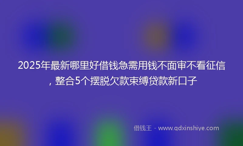 2025年最新哪里好借钱急需用钱不面审不看征信，整合5个摆脱欠款束缚贷款新口子
