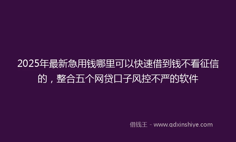 2025年最新急用钱哪里可以快速借到钱不看征信的，整合五个网贷口子风控不严的软件