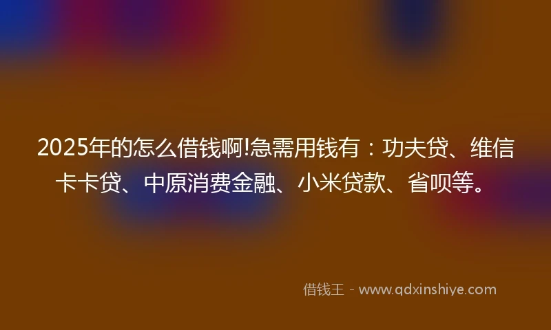 2025年的怎么借钱啊!急需用钱有：功夫贷、维信卡卡贷、中原消费金融、小米贷款、省呗等。