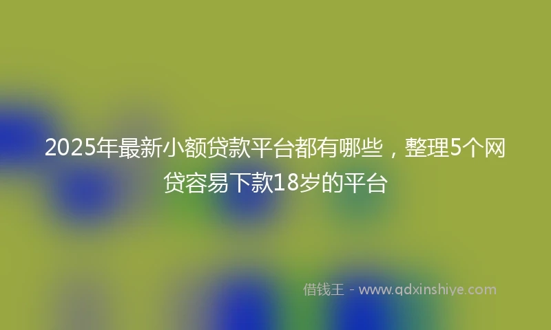 2025年最新小额贷款平台都有哪些，整理5个网贷容易下款18岁的平台