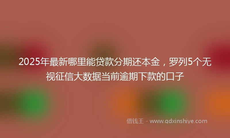 2025年最新哪里能贷款分期还本金，罗列5个无视征信大数据当前逾期下款的口子