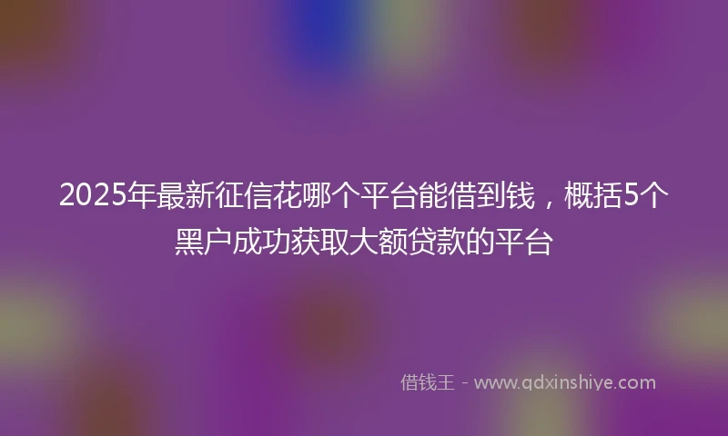 2025年最新征信花哪个平台能借到钱，概括5个黑户成功获取大额贷款的平台