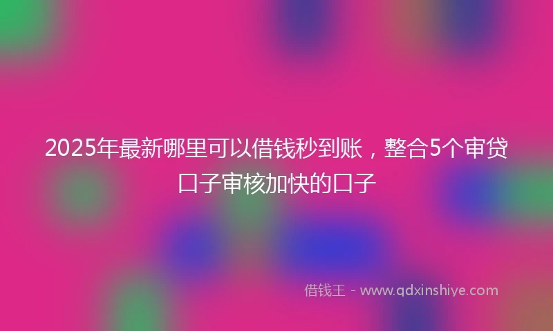 2025年最新哪里可以借钱秒到账，整合5个审贷口子审核加快的口子