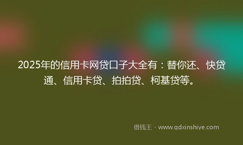 2025年的信用卡网贷口子大全有：替你还、快贷通、信用卡贷、拍拍贷、柯基贷等。