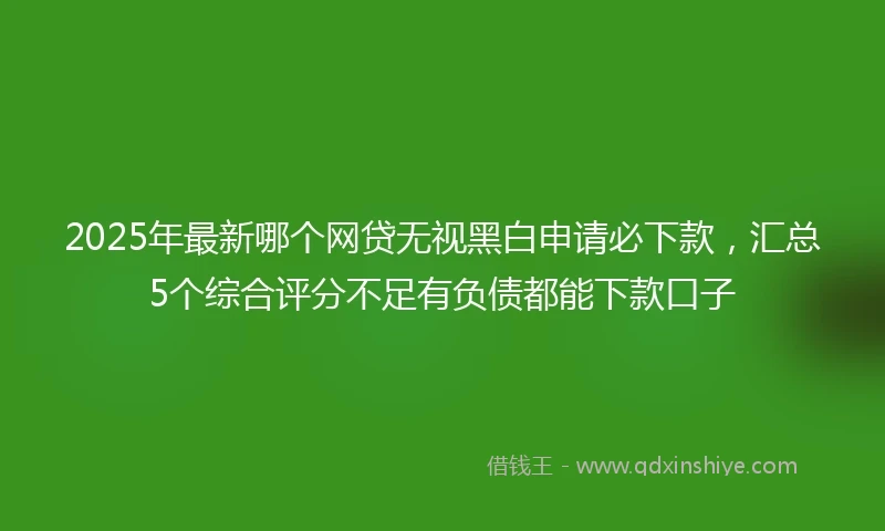 2025年最新哪个网贷无视黑白申请必下款，汇总5个综合评分不足有负债都能下款口子