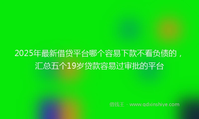 2025年最新借贷平台哪个容易下款不看负债的，汇总五个19岁贷款容易过审批的平台
