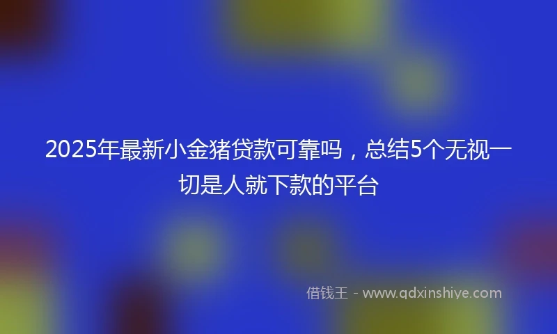 2025年最新小金猪贷款可靠吗，总结5个无视一切是人就下款的平台
