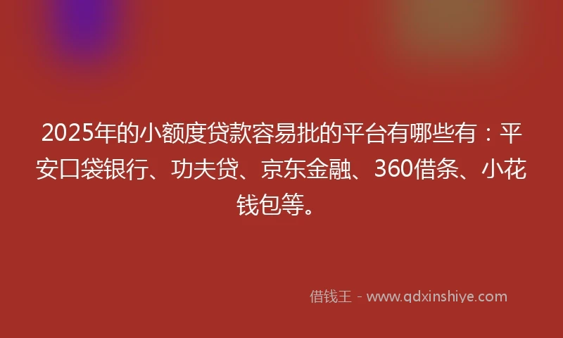 2025年的小额度贷款容易批的平台有哪些有：平安口袋银行、功夫贷、京东金融、360借条、小花钱包等。