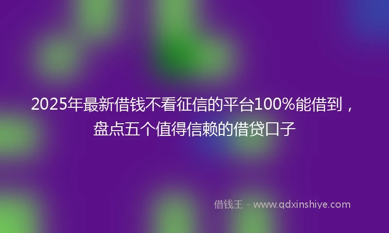 2025年最新借钱不看征信的平台100%能借到，盘点五个值得信赖的借贷口子
