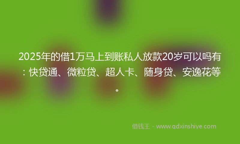 2025年的借1万马上到账私人放款20岁可以吗有：快贷通、微粒贷、超人卡、随身贷、安逸花等。