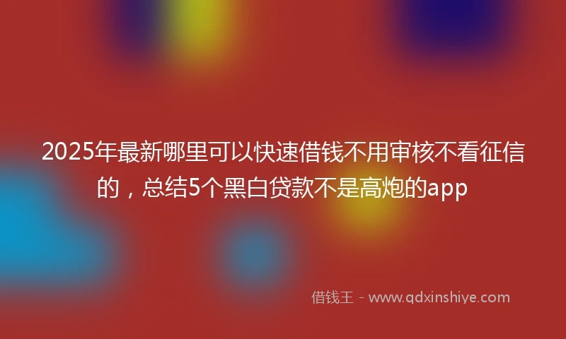 2025年最新哪里可以快速借钱不用审核不看征信的，总结5个黑白贷款不是高炮的app
