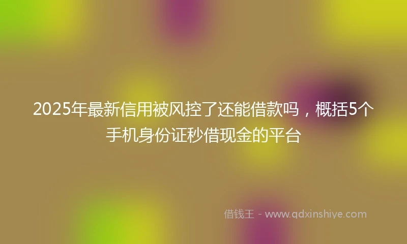 2025年最新信用被风控了还能借款吗，概括5个手机身份证秒借现金的平台