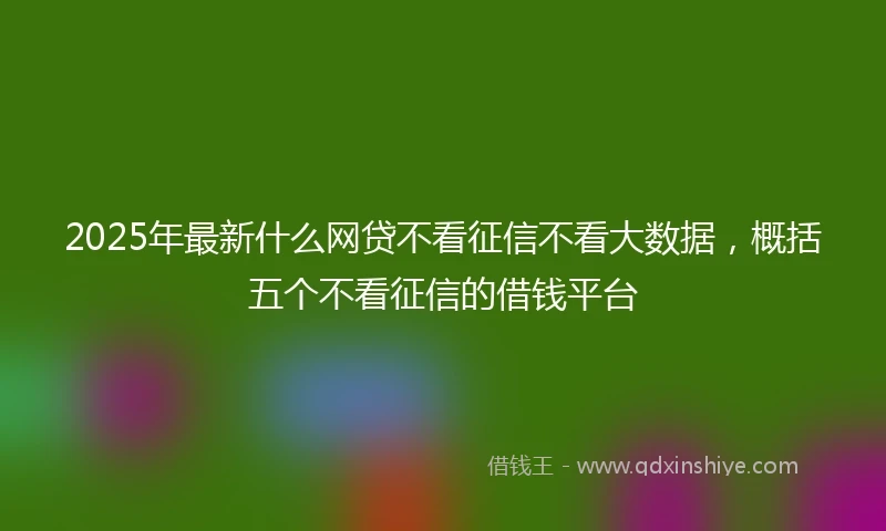 2025年最新什么网贷不看征信不看大数据，概括五个不看征信的借钱平台
