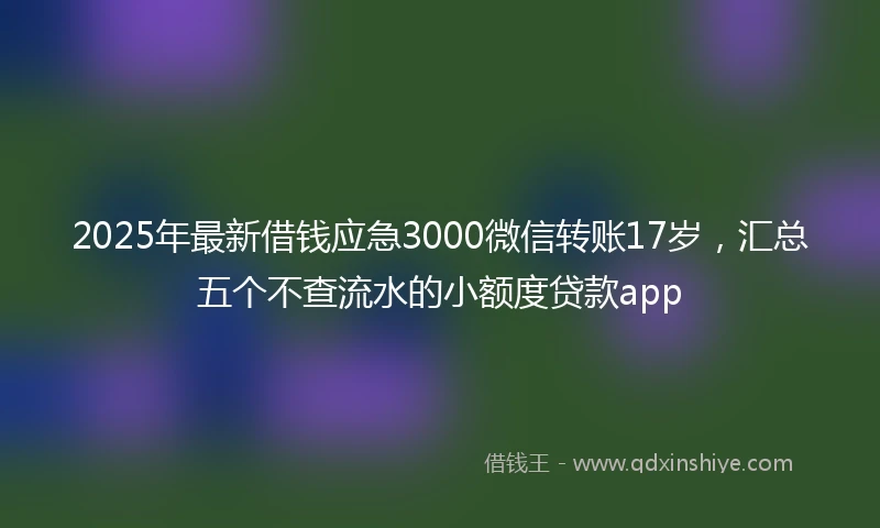 2025年最新借钱应急3000微信转账17岁，汇总五个不查流水的小额度贷款app