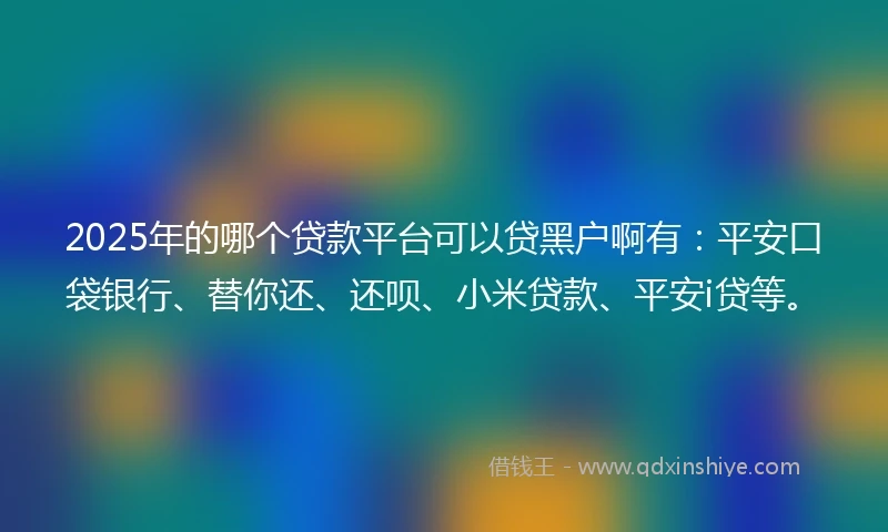 2025年的哪个贷款平台可以贷黑户啊有：平安口袋银行、替你还、还呗、小米贷款、平安i贷等。