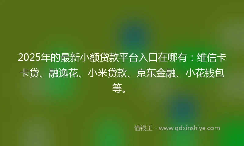 2025年的最新小额贷款平台入口在哪有：维信卡卡贷、融逸花、小米贷款、京东金融、小花钱包等。
