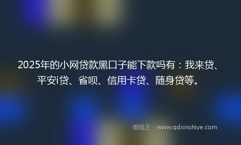 2025年的小网贷款黑口子能下款吗有：我来贷、平安i贷、省呗、信用卡贷、随身贷等。