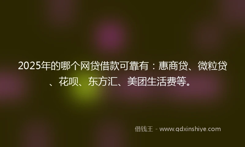 2025年的哪个网贷借款可靠有：惠商贷、微粒贷、花呗、东方汇、美团生活费等。