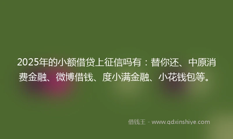 2025年的小额借贷上征信吗有：替你还、中原消费金融、微博借钱、度小满金融、小花钱包等。