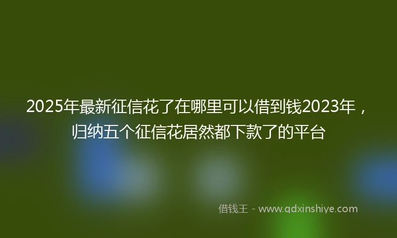 2025年最新征信花了在哪里可以借到钱2023年，归纳五个征信花居然都下款了的平台