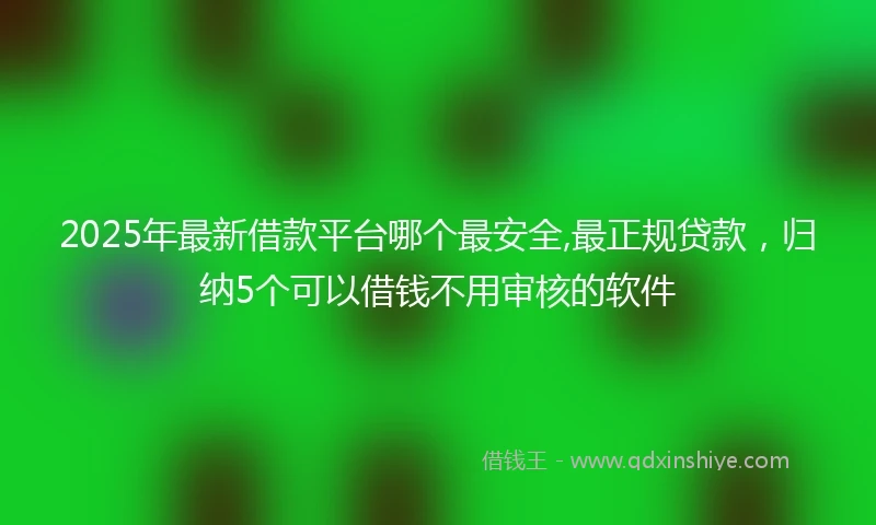2025年最新借款平台哪个最安全,最正规贷款，归纳5个可以借钱不用审核的软件