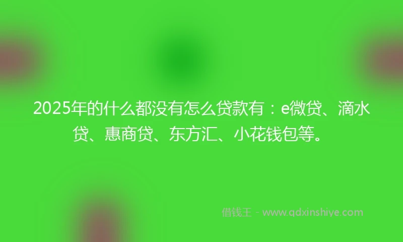 2025年的什么都没有怎么贷款有：e微贷、滴水贷、惠商贷、东方汇、小花钱包等。
