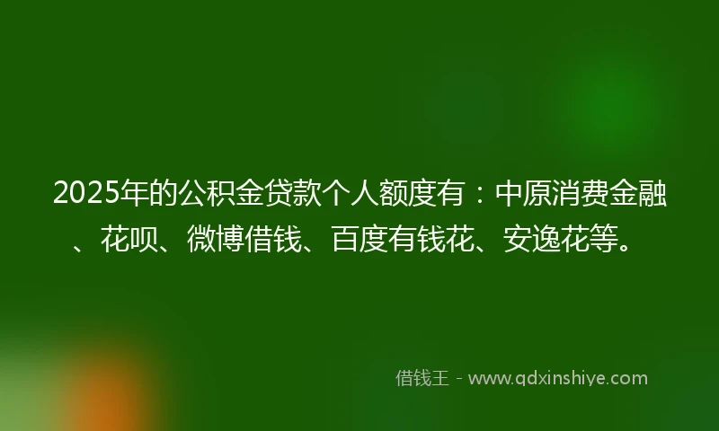 2025年的公积金贷款个人额度有：中原消费金融、花呗、微博借钱、百度有钱花、安逸花等。