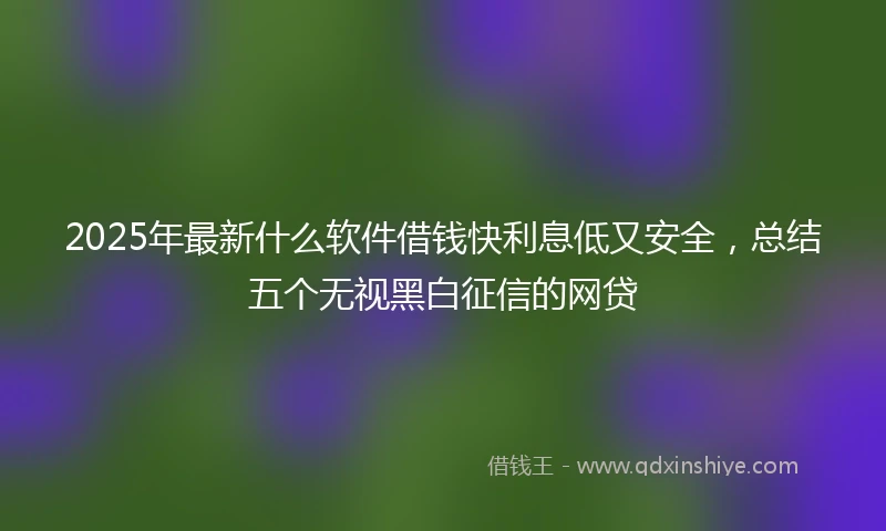 2025年最新什么软件借钱快利息低又安全，总结五个无视黑白征信的网贷