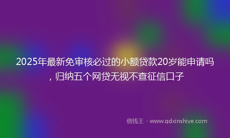 2025年最新免审核必过的小额贷款20岁能申请吗，归纳五个网贷无视不查征信口子