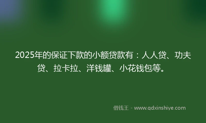 2025年的保证下款的小额贷款有：人人贷、功夫贷、拉卡拉、洋钱罐、小花钱包等。