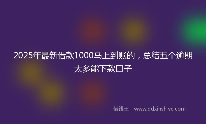 2025年最新借款1000马上到账的，总结五个逾期太多能下款口子