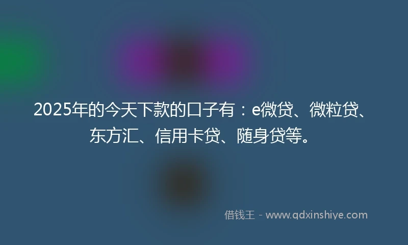 2025年的今天下款的口子有：e微贷、微粒贷、东方汇、信用卡贷、随身贷等。