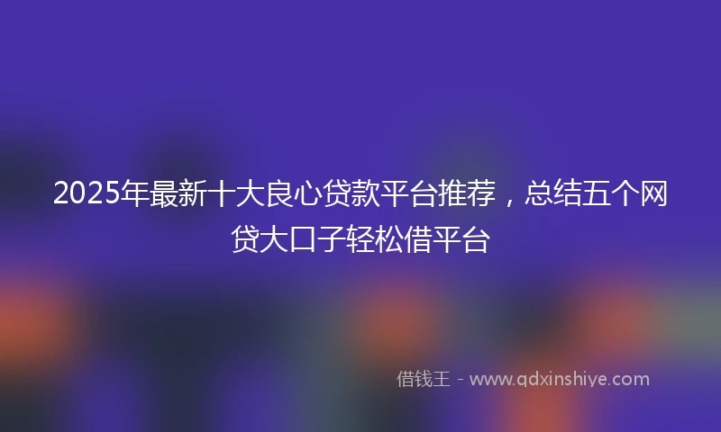 2025年最新十大良心贷款平台推荐，总结五个网贷大口子轻松借平台