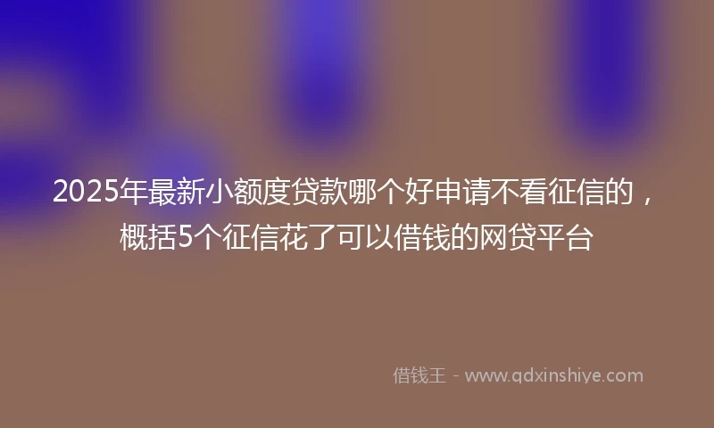 2025年最新小额度贷款哪个好申请不看征信的，概括5个征信花了可以借钱的网贷平台